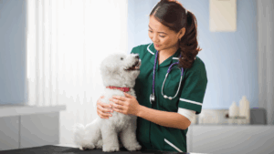 Veterinarian in green scrubs smiling at a happy white dog on an exam table.
