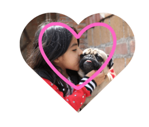 Making a pet more comfortable with animal behavior guidance at Norton Animal Health Center in Norton, KS