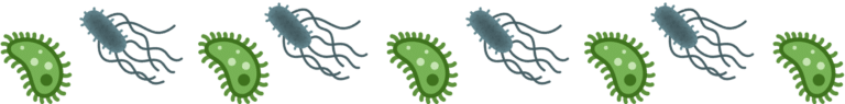 Various animal parasites in Norton, KS that affect pets and farm animals