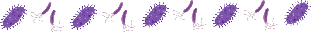 Microscopic organism illustrations for pet parasites education from Norton Animal Health Center in Norton, KS